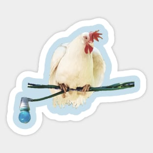 Chicken are birds Sticker